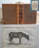 Dictionnaire usuel de chirurgie et de médecine vétérinaires, manuel pratique ou l’on trouve exposés avec clarté et dans un langage à la porté de tout le monde, 1°] Tout ce qui regarde l’histoire naturelle, la propagation, l’entretien et la conservation des animaux domestiques ; 2°] La description de toutes les maladies auxquelles ces animaux sont sujets ; 3°] Les moyens de les traiter de la manière la plus efficace et la plus économique ; 4°] La législation vétérinaire. - photo