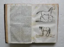 Dictionnaire usuel de chirurgie et de médecine vétérinaires, manuel pratique ou l’on trouve exposés avec clarté et dans un langage à la porté de tout le monde, 1°] Tout ce qui regarde l’histoire naturelle, la propagation, l’entretien et la conservation des animaux domestiques ; 2°] La description de toutes les maladies auxquelles ces animaux sont sujets ; 3°] Les moyens de les traiter de la manière la plus efficace et la plus économique ; 4°] La législation vétérinaire. - photo