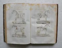 Dictionnaire usuel de chirurgie et de médecine vétérinaires, manuel pratique ou l’on trouve exposés avec clarté et dans un langage à la porté de tout le monde, 1°] Tout ce qui regarde l’histoire naturelle, la propagation, l’entretien et la conservation des animaux domestiques ; 2°] La description de toutes les maladies auxquelles ces animaux sont sujets ; 3°] Les moyens de les traiter de la manière la plus efficace et la plus économique ; 4°] La législation vétérinaire. - photo