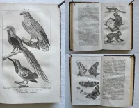 Pau – Béarn – Pyrénées.
Illustrations d’après nature.
Syndicat d’initiative de Pau, du Béarn et des Pyrénées. Pau, 4 rue Adoue. - photo