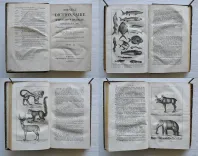 Pau – Béarn – Pyrénées.
Illustrations d’après nature.
Syndicat d’initiative de Pau, du Béarn et des Pyrénées. Pau, 4 rue Adoue. - photo