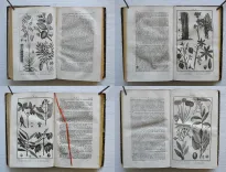 Pau – Béarn – Pyrénées.
Illustrations d’après nature.
Syndicat d’initiative de Pau, du Béarn et des Pyrénées. Pau, 4 rue Adoue. - photo