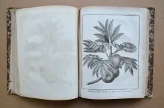 Cartes et figures des voyages entrepris par ordre de Sa Majesté Britannique, actuellement régnante ; pour faire des découvertes dans l’hémisphère méridional, et successivement exécutés par le Commodore Byron, le capitaine Carteret, le capitaine Wallis & le capitaine Cook, dans les vaisseaux le Dauphin, le Swallow & l’Endeavour.
Rédigés d’après les journaux tenus par les différens commandans & les papiers de M. Banks, par J. Hawkesworth, Docteur en Droit. - photo