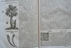Histoire générale des plantes, contenant XVII livres également départis en deux tomes.
Tirée de l’exemplaire latin de la bibliothèque de M. Dalechamp, puis faire françoise par M. Jean des Moulins, médecins très fameux de leur siècle.
Ou sont pourtraites et décrites infinies plantes, par les noms propres de diverses nations, leurs espèces, forme, origine, saison, tempérament naturel, & vertus convenables ç la Médecine.
Avec un indice contenu au commencement du second tome, très utile & très nécessaire pour montrer les propriétés des simples, & donner guérison à toutes les parties du corps humain (…) - photo