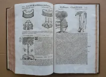 Histoire générale des plantes, contenant XVII livres également départis en deux tomes.
Tirée de l’exemplaire latin de la bibliothèque de M. Dalechamp, puis faire françoise par M. Jean des Moulins, médecins très fameux de leur siècle.
Ou sont pourtraites et décrites infinies plantes, par les noms propres de diverses nations, leurs espèces, forme, origine, saison, tempérament naturel, & vertus convenables ç la Médecine.
Avec un indice contenu au commencement du second tome, très utile & très nécessaire pour montrer les propriétés des simples, & donner guérison à toutes les parties du corps humain (…) - photo