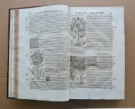 Histoire générale des plantes, contenant XVII livres également départis en deux tomes.
Tirée de l’exemplaire latin de la bibliothèque de M. Dalechamp, puis faire françoise par M. Jean des Moulins, médecins très fameux de leur siècle.
Ou sont pourtraites et décrites infinies plantes, par les noms propres de diverses nations, leurs espèces, forme, origine, saison, tempérament naturel, & vertus convenables ç la Médecine.
Avec un indice contenu au commencement du second tome, très utile & très nécessaire pour montrer les propriétés des simples, & donner guérison à toutes les parties du corps humain (…) - photo
