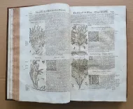 Histoire générale des plantes, contenant XVII livres également départis en deux tomes.
Tirée de l’exemplaire latin de la bibliothèque de M. Dalechamp, puis faire françoise par M. Jean des Moulins, médecins très fameux de leur siècle.
Ou sont pourtraites et décrites infinies plantes, par les noms propres de diverses nations, leurs espèces, forme, origine, saison, tempérament naturel, & vertus convenables ç la Médecine.
Avec un indice contenu au commencement du second tome, très utile & très nécessaire pour montrer les propriétés des simples, & donner guérison à toutes les parties du corps humain (…) - photo