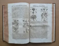 Histoire générale des plantes, contenant XVII livres également départis en deux tomes.
Tirée de l’exemplaire latin de la bibliothèque de M. Dalechamp, puis faire françoise par M. Jean des Moulins, médecins très fameux de leur siècle.
Ou sont pourtraites et décrites infinies plantes, par les noms propres de diverses nations, leurs espèces, forme, origine, saison, tempérament naturel, & vertus convenables ç la Médecine.
Avec un indice contenu au commencement du second tome, très utile & très nécessaire pour montrer les propriétés des simples, & donner guérison à toutes les parties du corps humain (…) - photo