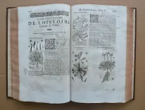 Histoire générale des plantes, contenant XVII livres également départis en deux tomes.
Tirée de l’exemplaire latin de la bibliothèque de M. Dalechamp, puis faire françoise par M. Jean des Moulins, médecins très fameux de leur siècle.
Ou sont pourtraites et décrites infinies plantes, par les noms propres de diverses nations, leurs espèces, forme, origine, saison, tempérament naturel, & vertus convenables ç la Médecine.
Avec un indice contenu au commencement du second tome, très utile & très nécessaire pour montrer les propriétés des simples, & donner guérison à toutes les parties du corps humain (…) - photo