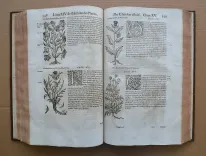 Histoire générale des plantes, contenant XVII livres également départis en deux tomes.
Tirée de l’exemplaire latin de la bibliothèque de M. Dalechamp, puis faire françoise par M. Jean des Moulins, médecins très fameux de leur siècle.
Ou sont pourtraites et décrites infinies plantes, par les noms propres de diverses nations, leurs espèces, forme, origine, saison, tempérament naturel, & vertus convenables ç la Médecine.
Avec un indice contenu au commencement du second tome, très utile & très nécessaire pour montrer les propriétés des simples, & donner guérison à toutes les parties du corps humain (…) - photo