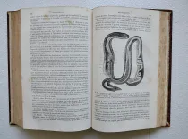 Dictionnaire encyclopédique des sciences médicales (…). - photo