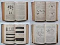 Dictionnaire encyclopédique des sciences médicales (…). - photo
