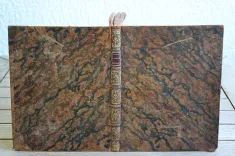 L’indicateur fidèle ou guide des voyageurs, qui enseigne toutes des routes royales et particulières de la France (…)
Contenant toutes des villes, tous le bourgs, villages, hameaux, fermes, châteaux (…)
Accompagné d’un itinéraire instructif et raisonné sur chaque route, qui donne le jour et l’heure du départ, de la dinée et de la couchée tant des cochers par eau, que des carrosses, diligences, et messageries du Royaume (…)
Cinquième édition, corrigée et considérablement augmentée en 1785. - photo