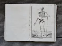 Recueil de planches sur les Sciences, les Arts Libéraux, et les Arts Méchaniques, avec leur explication. - photo