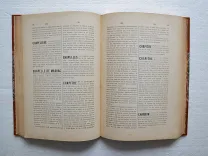 Ville de Bayonne.
Dictionnaire historique de Bayonne.
Ouvrage posthume de M. Édouard Ducéré, bibliothécaire-archiviste de la ville.
Publié par la Commission des Archives Municipales. - photo