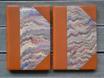 Ville de Bayonne.
Dictionnaire historique de Bayonne.
Ouvrage posthume de M. Édouard Ducéré, bibliothécaire-archiviste de la ville.
Publié par la Commission des Archives Municipales. - photo