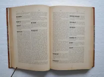 Ville de Bayonne.
Dictionnaire historique de Bayonne.
Ouvrage posthume de M. Édouard Ducéré, bibliothécaire-archiviste de la ville.
Publié par la Commission des Archives Municipales. - photo