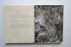 Faust.
Texte français de Gérard de Nerval (T1) & d’Alexandre Arnoux et Rainer Biemel (T2). - photo