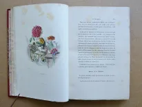 Les fleurs animées [suivi de :] Botanique moderne des dames [suivi de :] Culture des fleurs, horticulture des dames.
Introduction par Alphonse Karr, texte par Taxile Delord. - photo