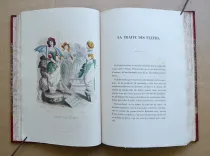 Les fleurs animées [suivi de :] Botanique moderne des dames [suivi de :] Culture des fleurs, horticulture des dames.
Introduction par Alphonse Karr, texte par Taxile Delord. - photo