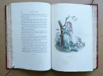 Les fleurs animées [suivi de :] Botanique moderne des dames [suivi de :] Culture des fleurs, horticulture des dames.
Introduction par Alphonse Karr, texte par Taxile Delord. - photo