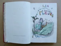 Les fleurs animées [suivi de :] Botanique moderne des dames [suivi de :] Culture des fleurs, horticulture des dames.
Introduction par Alphonse Karr, texte par Taxile Delord. - photo