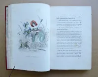 Les fleurs animées [suivi de :] Botanique moderne des dames [suivi de :] Culture des fleurs, horticulture des dames.
Introduction par Alphonse Karr, texte par Taxile Delord. - photo