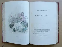 Les fleurs animées [suivi de :] Botanique moderne des dames [suivi de :] Culture des fleurs, horticulture des dames.
Introduction par Alphonse Karr, texte par Taxile Delord. - photo
