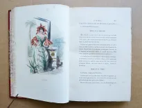 Les fleurs animées [suivi de :] Botanique moderne des dames [suivi de :] Culture des fleurs, horticulture des dames.
Introduction par Alphonse Karr, texte par Taxile Delord. - photo