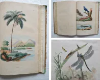 Dictionnaire pittoresque d’Histoire Naturelle et des phénomènes de la nature, contenant l’histoire des animaux, des végétaux, des minéraux, des météores, des principaux phénomènes physiques et des curiosités naturelle (…).
Rédigé par une Société de Naturalistes, sous la direction de M. F.-E. Guérin. - photo