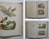 Dictionnaire pittoresque d’Histoire Naturelle et des phénomènes de la nature, contenant l’histoire des animaux, des végétaux, des minéraux, des météores, des principaux phénomènes physiques et des curiosités naturelle (…).
Rédigé par une Société de Naturalistes, sous la direction de M. F.-E. Guérin. - photo