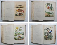 Dictionnaire pittoresque d’Histoire Naturelle et des phénomènes de la nature, contenant l’histoire des animaux, des végétaux, des minéraux, des météores, des principaux phénomènes physiques et des curiosités naturelle (…).
Rédigé par une Société de Naturalistes, sous la direction de M. F.-E. Guérin. - photo