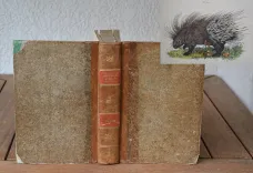 Dictionnaire pittoresque d’Histoire Naturelle et des phénomènes de la nature, contenant l’histoire des animaux, des végétaux, des minéraux, des météores, des principaux phénomènes physiques et des curiosités naturelle (…).
Rédigé par une Société de Naturalistes, sous la direction de M. F.-E. Guérin. - photo