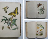 Dictionnaire pittoresque d’Histoire Naturelle et des phénomènes de la nature, contenant l’histoire des animaux, des végétaux, des minéraux, des météores, des principaux phénomènes physiques et des curiosités naturelle (…).
Rédigé par une Société de Naturalistes, sous la direction de M. F.-E. Guérin. - photo