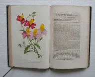 L’horticulteur français de mil huit cent cinquante et un.
Journal des amateurs et des intérêts horticoles. - photo