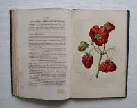 L’horticulteur français de mil huit cent cinquante et un.
Journal des amateurs et des intérêts horticoles. - photo