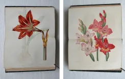 L’horticulteur français de mil huit cent cinquante et un.
Journal des amateurs et des intérêts horticoles. - photo