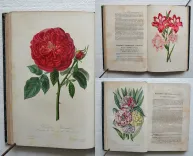 L’horticulteur français de mil huit cent cinquante et un.
Journal des amateurs et des intérêts horticoles. - photo