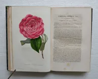 L’horticulteur français de mil huit cent cinquante et un.
Journal des amateurs et des intérêts horticoles. - photo