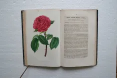 L’horticulteur français de mil huit cent cinquante et un.
Journal des amateurs et des intérêts horticoles. - photo