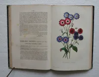L’horticulteur français de mil huit cent cinquante et un.
Journal des amateurs et des intérêts horticoles. - photo