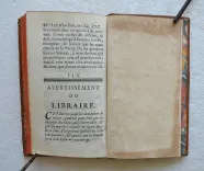Lettres d’un sauvage dépaysé, contenant une critique des mœurs du siècle, & des réflexions sur les matières de religion & de politique. - photo