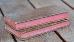 Lettres d’un sauvage dépaysé, contenant une critique des mœurs du siècle, & des réflexions sur les matières de religion & de politique. - photo