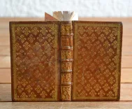 Satyrae, cum annotat. Th. Farnabii. - photo