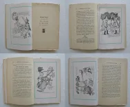 Mémoires d’un vieux piégeur et braconnier de Lourdes. - photo