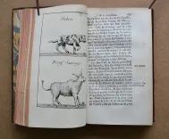 Histoire de la Louisiane, contenant la découverte de ce vaste pays ; sa description géographique ; un voyage dans les terres ; l’histoire naturelle ; les mœurs, coûtumes & religion des naturels, avec leurs origines ; deux voyages dans le nord du nouveau Mexique, dont un jusqu’à la Mer du Sud ; orné de deux cartes & de planches en taille douce. - photo