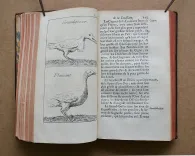 Histoire de la Louisiane, contenant la découverte de ce vaste pays ; sa description géographique ; un voyage dans les terres ; l’histoire naturelle ; les mœurs, coûtumes & religion des naturels, avec leurs origines ; deux voyages dans le nord du nouveau Mexique, dont un jusqu’à la Mer du Sud ; orné de deux cartes & de planches en taille douce. - photo