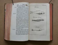 Histoire de la Louisiane, contenant la découverte de ce vaste pays ; sa description géographique ; un voyage dans les terres ; l’histoire naturelle ; les mœurs, coûtumes & religion des naturels, avec leurs origines ; deux voyages dans le nord du nouveau Mexique, dont un jusqu’à la Mer du Sud ; orné de deux cartes & de planches en taille douce. - photo
