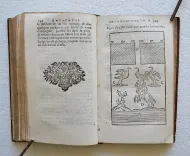 Amusemens de la campagne, ou nouvelles ruses innocentes, qui enseignent la manière de prendre aux pièges toutes sortes d’oiseaux & de bêtes à quatre pieds (…).
Tome premier. - photo
