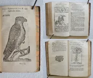 Amusemens de la campagne, ou nouvelles ruses innocentes, qui enseignent la manière de prendre aux pièges toutes sortes d’oiseaux & de bêtes à quatre pieds (…).
Tome premier. - photo